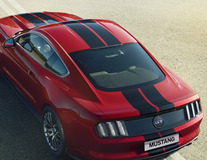 Racing Stripes over-the-top, gloss black