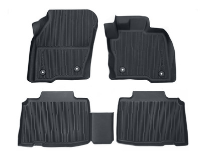 All-Weather Floor Mats front and rear, black, tray style with raised edges,