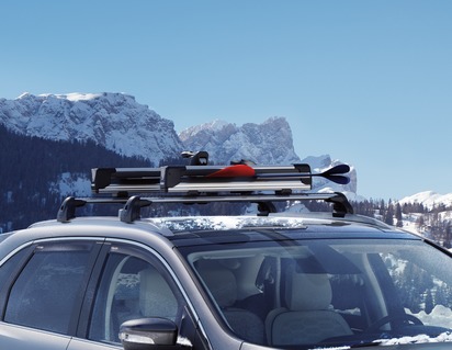 Thule®* Ski- og snowboardholder til tagbøjler/tværstænger SnowPack Extender 7325