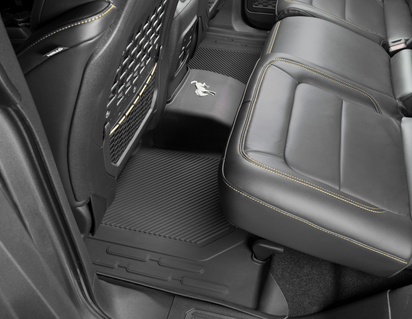 All-Weather Floor Mats front and rear, black, tray style with raised edges