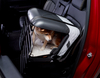 4pets®* Транспортний контейнер Caree для котів і собак, який надійно закріплюється на будь-якому пасажирському сидінні, сірого кольору