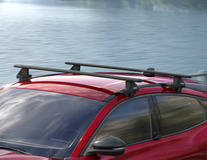 Thule® Roof Base Carrier