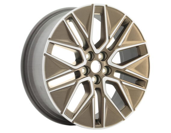 Alloy Wheel 19" 5 x 2-spoke design, Sinister Bronze
