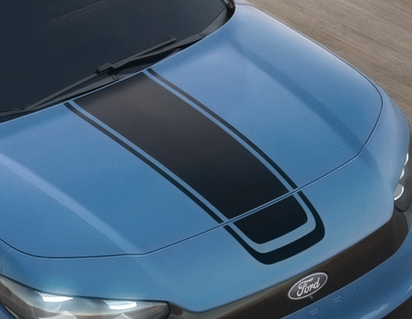 Franjas de competición Exagerado, para la parte superior del parachoques y el capó, negro